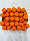 Temecula Sweet and Sour Tangos | 5 lb Box | Blow out sale