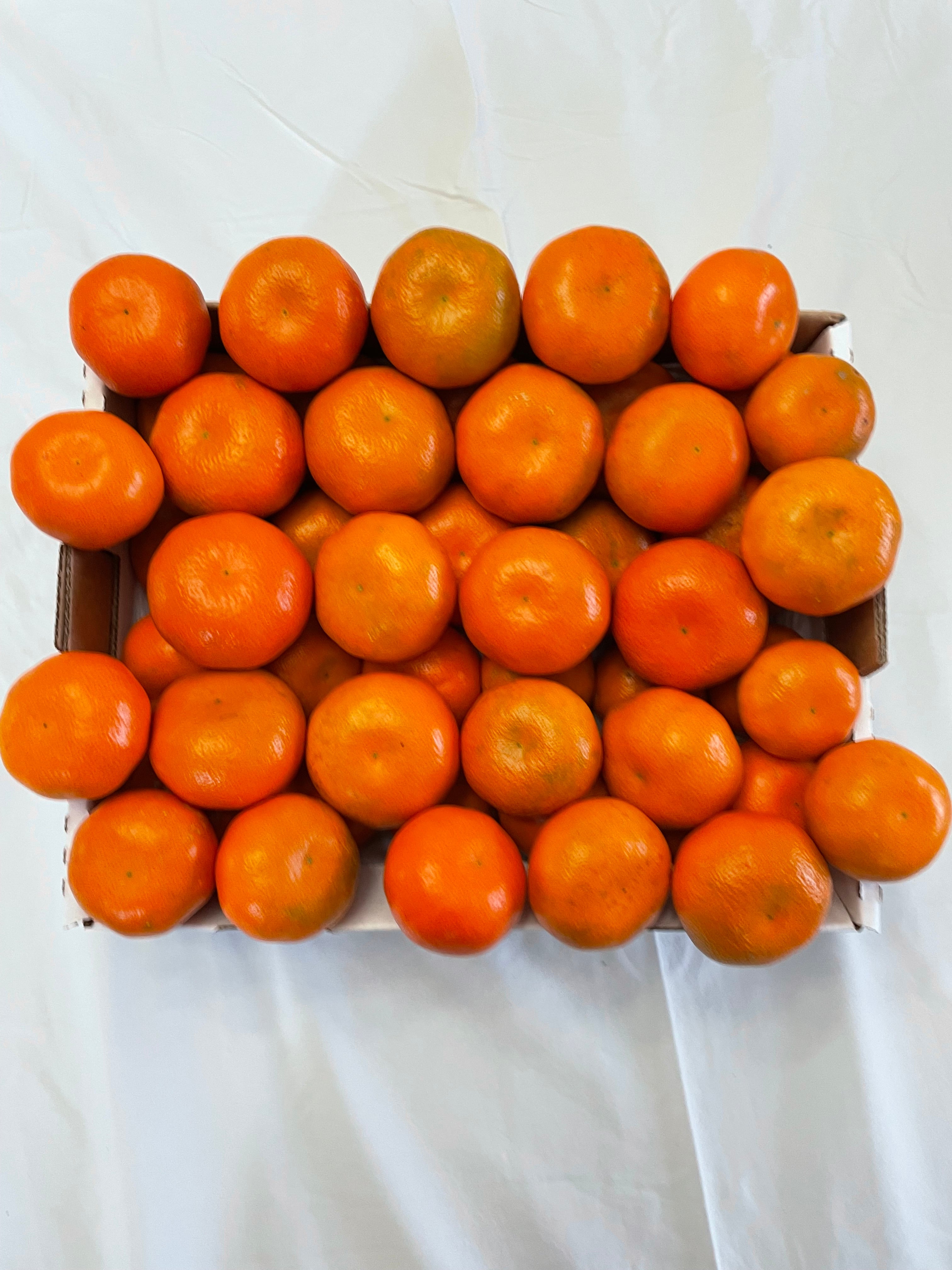 Temecula Sweet and Sour Tangos | 5 lb Box | Blow out sale
