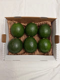 Buttery Reed Avocados | 5 lb Box| Creamy and Delicious | Special Pricing