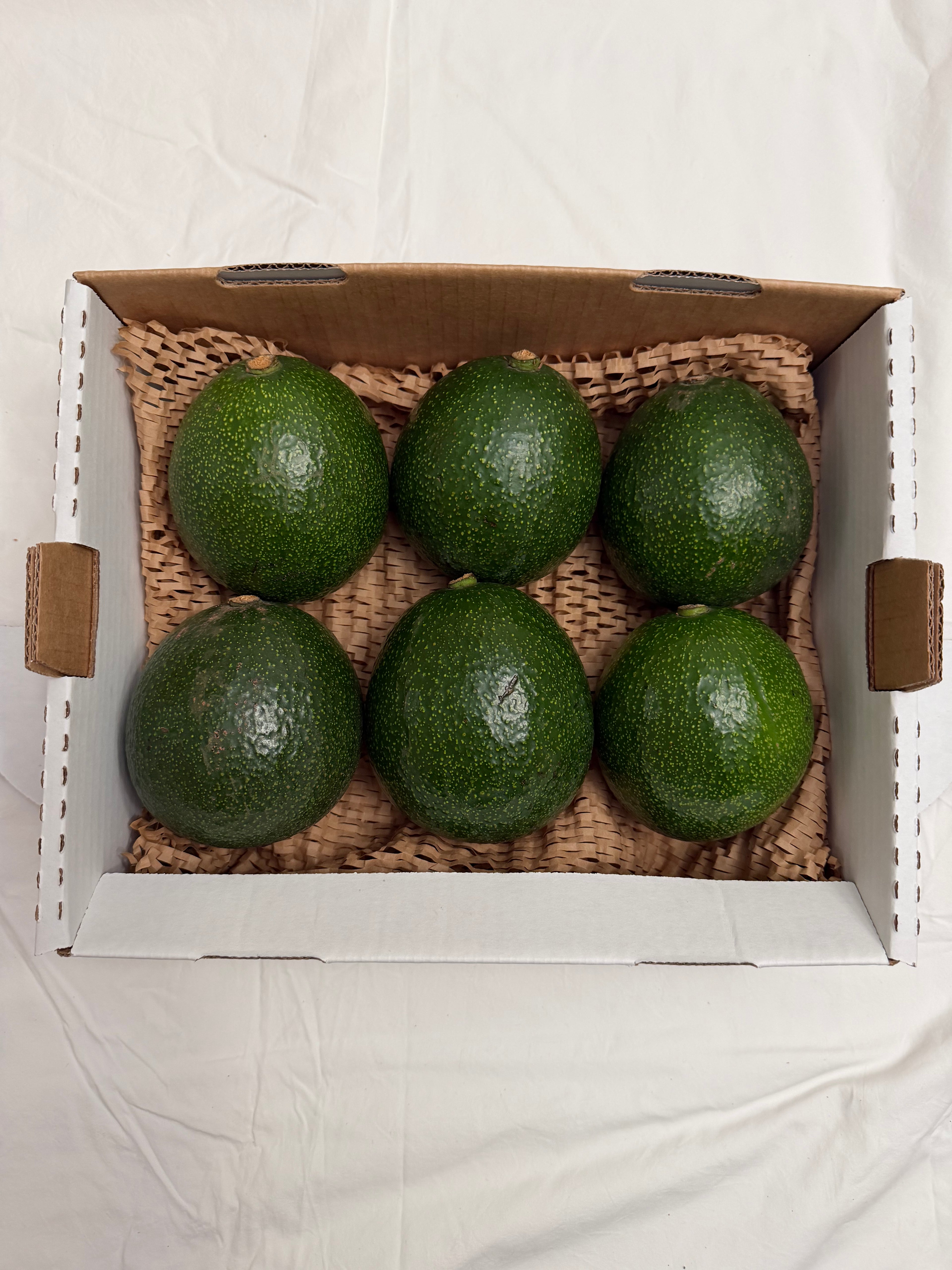 Buttery Reed Avocados | 5 lb Box| Creamy and Delicious