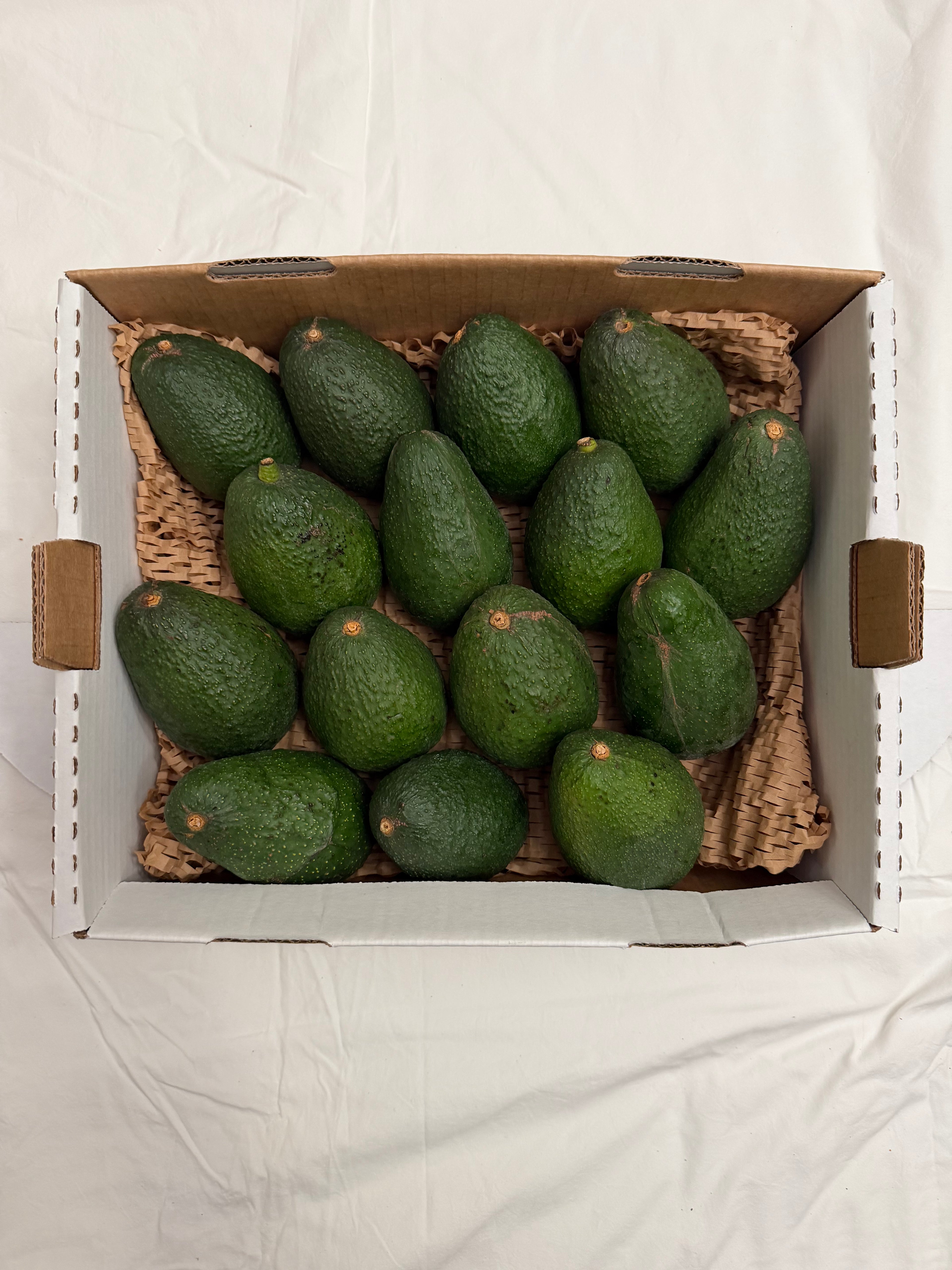 Hass Avocado | 5 lb Box|