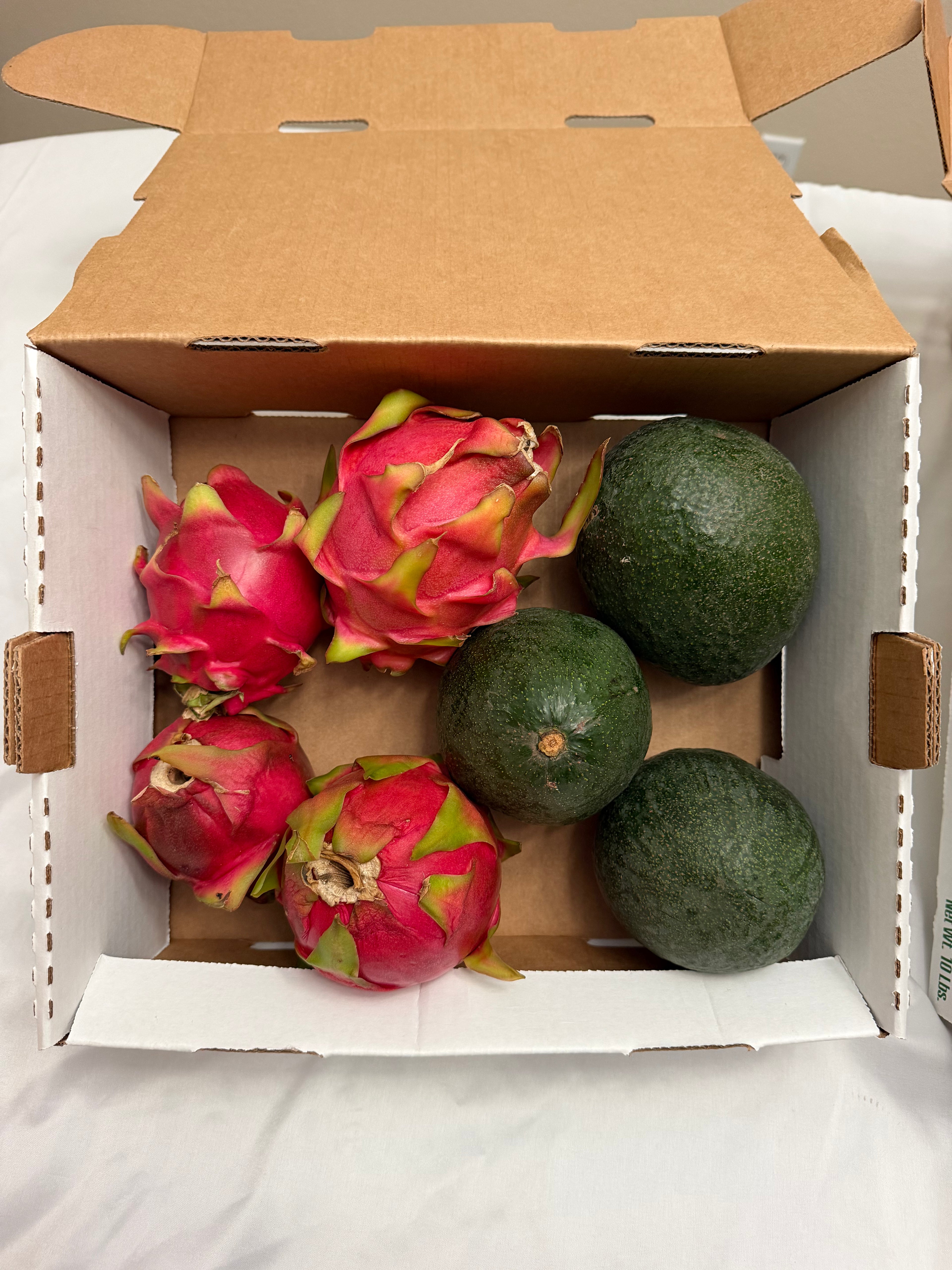 Mix Organic Reed Avocado and Dragonfruit | 6 lb box
