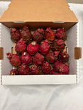 Organic Sugar baby DragonFruit | 5 lb box | On special